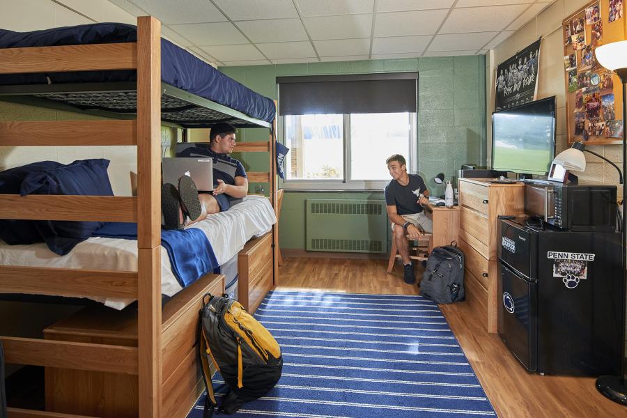 Harmony double dorm bunked