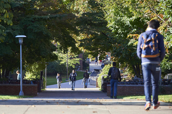 Student walking down a tree lined path